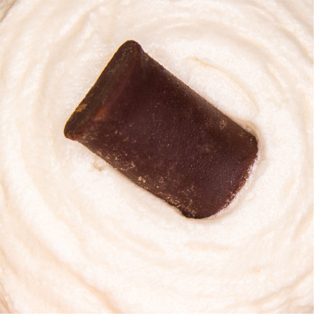 Vegan Chocolate Cupcake